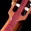 Bossa Blues Buddy