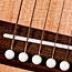 Delta Blues Buddy