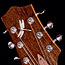 Delta Blues Buddy