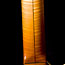 Electric bolt-on - chambered, maple cap